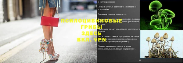 СК Арсеньев