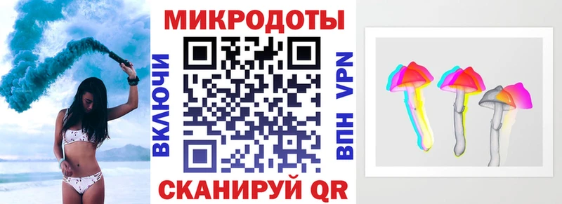 Псилоцибиновые грибы Cubensis  Западная Двина 